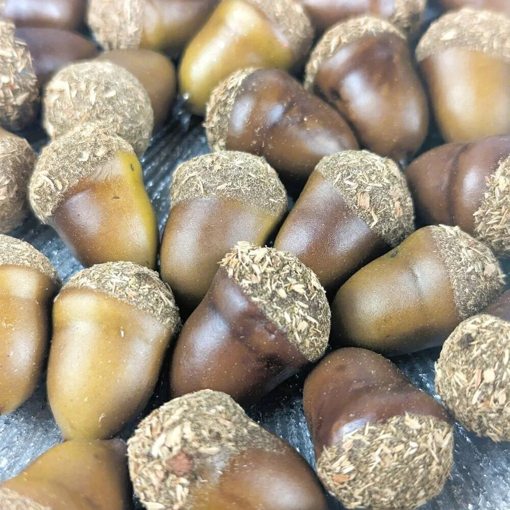 Faux Acorns for Crafting